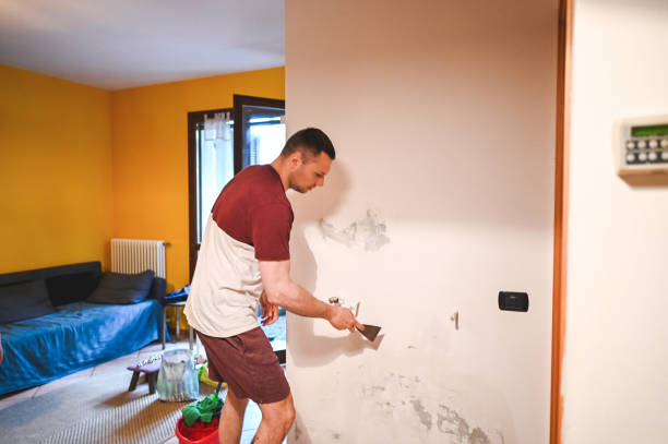Best Localized Mold Remediation (e.g., coastal areas, humid climates) in Berkeley, CA